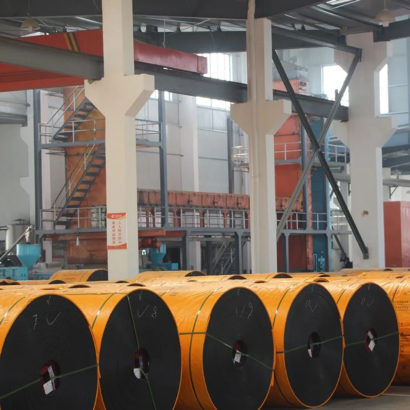 Nylon Mesh Conveyor Belt