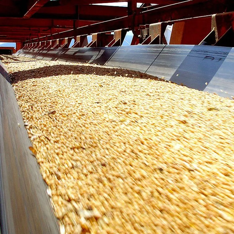 Oil Resistant Conveyor Belt